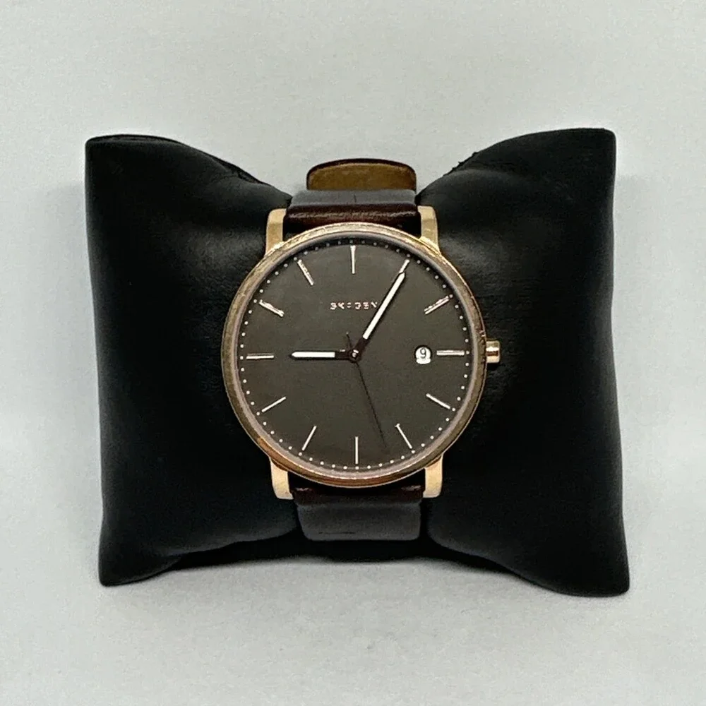 Skagen skw6313 men